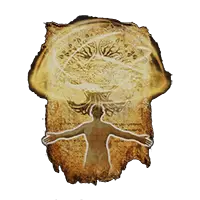Heal from Afar incantation in Elden Ring Shadow of the Erdtree